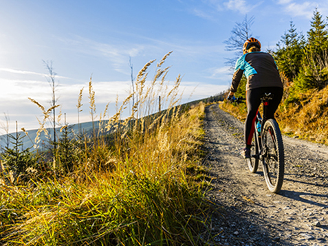 Mountain biking woman riding on bike in autumn mountains forest landscape. Woman cycling MTB flow trail track. Outdoor sport activity.