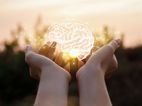 Female hand shows the brain in the sun.