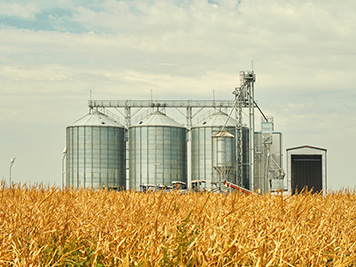 wide image of grain elevators in a field