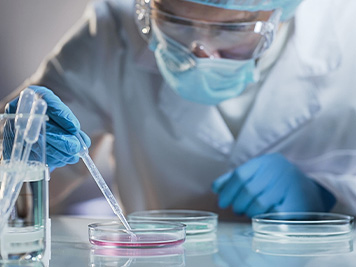 Scientist carefully carrying matured cell to another plate, conducting research