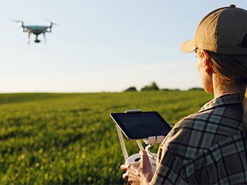 Close up of rear of Caucasian woman farmer in hat standing in green wheat field and controlling of drone which flying above margin. Female using tablet device as controller. Technologies in farming.