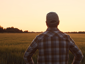 Farmer in front of a sunset agricultural landscape. Man in a countryside field. The concept of country life, food production, farming and country lifestyle.