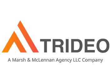 Trideo Logo