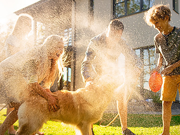 Father, Daughter, Son Play With Loyal Golden Retriever, Dog Tries to Catch Water from Garden Water Hose. Family Spending Fun Outdoors Time Together. Sunny Day Idyllic Suburban Home.