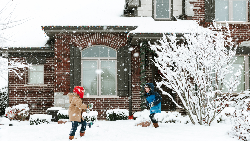 A Zebra named Ed being airlifted via helicopter in a dark mesh sack flying above the trees against blue skies.  