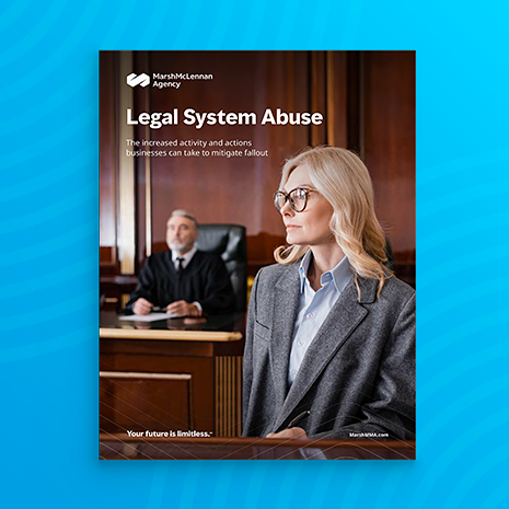 Legal System Abuse Report Image